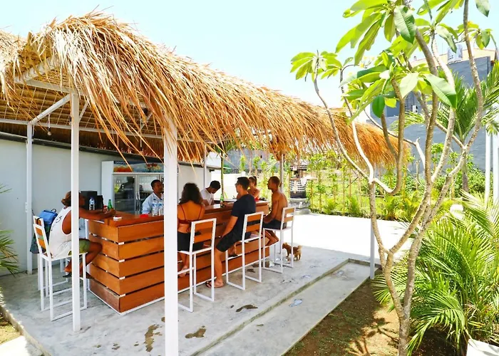 Margarita Surf Guest house 3*